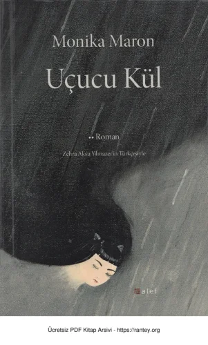 Uçucu Kül Alef YAyınları
