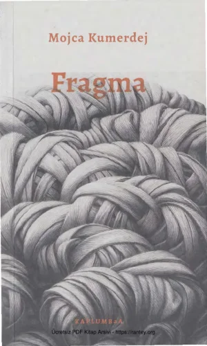 Fragma Kaplumbaa Yayınları kitap kapağı