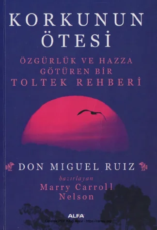 Korkunun Ötesi kitap kapağı