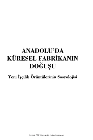 Anadoluda Küresel Fabrikanın Doğuşu Yeni İşçilik Örüntülerinin Sosyolojisi