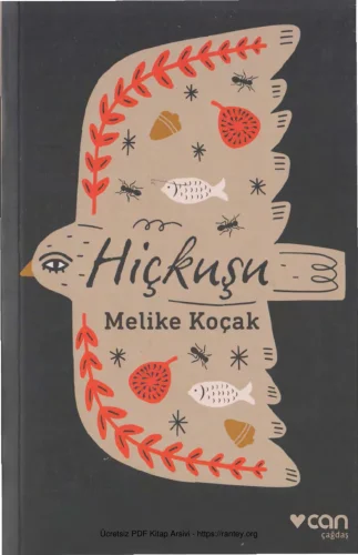 Hiçkuşu kitap kapağı