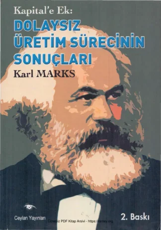 Kapitale Ek Dolaysız Üretim Sürecinin Sonuçları