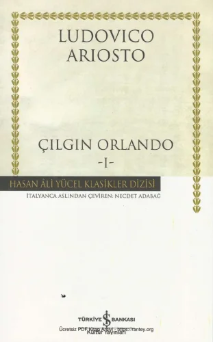 Çılgın Orlando 1
