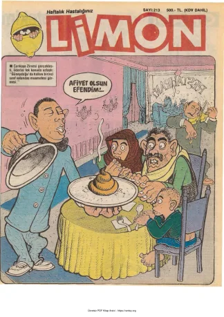 Limon 1990 Sayı 213