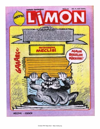 Limon 1989 Sayı 154