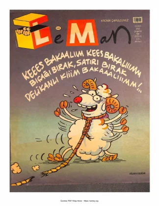 LeMan 2013 Sayı 1141 kitap kapağı