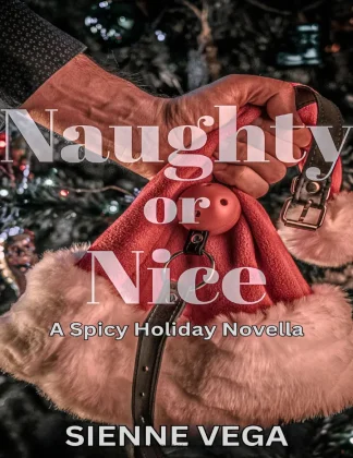 Naughty or Nice kitap kapağı