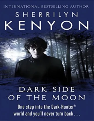 Dark Side of the Moon Were Hunter kitap kapağı