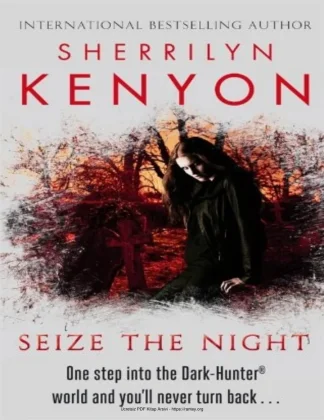 Seize the Night kitap kapağı