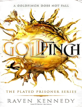 Goldfinch kitap kapağı