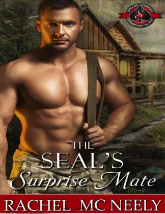 The SEALs Surprise Mate