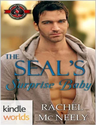 The SEALs Surprise Baby