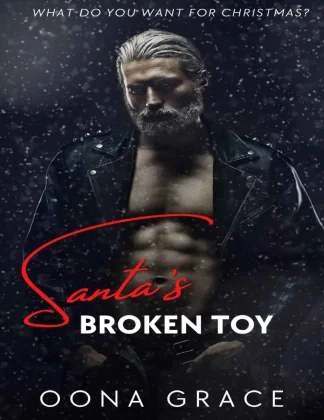 Santas Broken Toy kitap kapağı