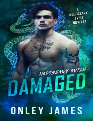 Damaged kitap kapağı