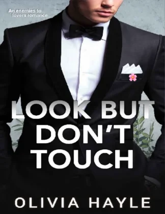 Look But Dont Touch kitap kapağı