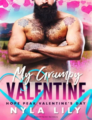My Grumpy Valentine kitap kapağı