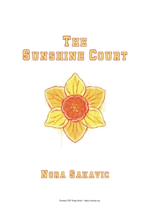The Sunshine Court