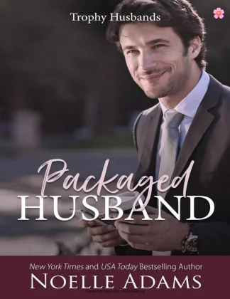 Packaged Husband kitap kapağı
