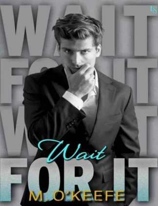 Wait for It kitap kapağı
