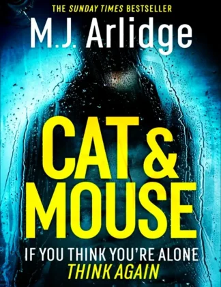 Cat Mouse