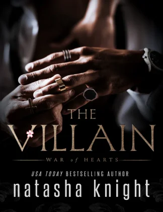 The Villain