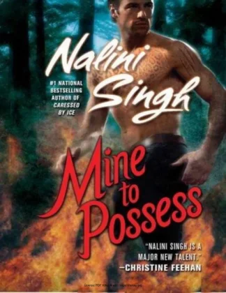Mine to Possess kitap kapağı