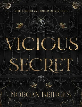 Vicious Secret kitap kapağı