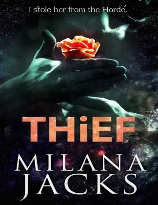 Thief kitap kapağı