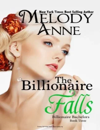 The Billionaires Falls
