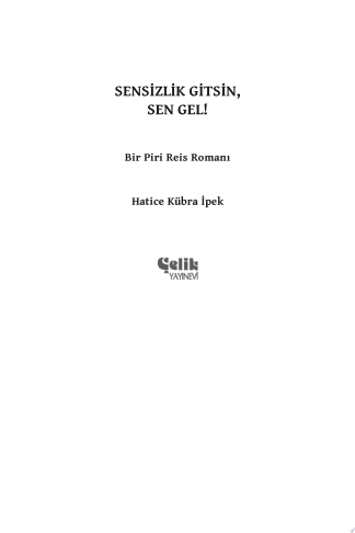 Piri Reis haritasının şifresi kitap kapağı