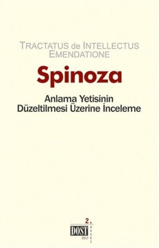 Anlama Yetisinin Düzeltilmesi Üzerine İnceleme
