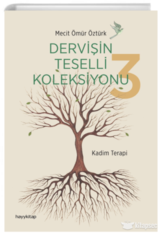 Dervişin Teselli Koleksiyonu 3 kitap kapağı