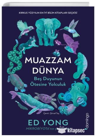 Muazzam Dünya Beş Duyunun Ötesine Yolculuk Domingo Yayınları kitap kapağı
