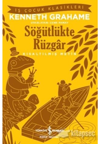 Söğütlükte Rüzgar kitap kapağı