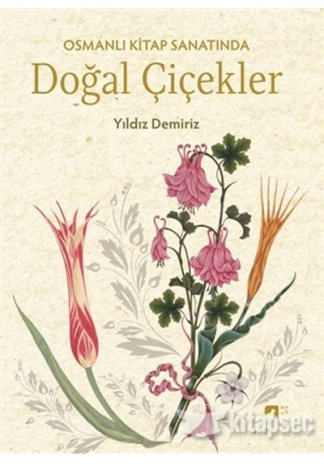 Kırmızı Oda Edogawa Ranpo kitap kapağı