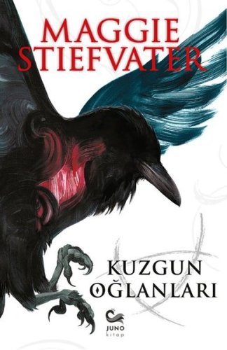 Kuzgun Oğlanları kitap kapağı