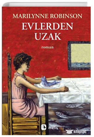 Evlerden Uzak kitap kapağı