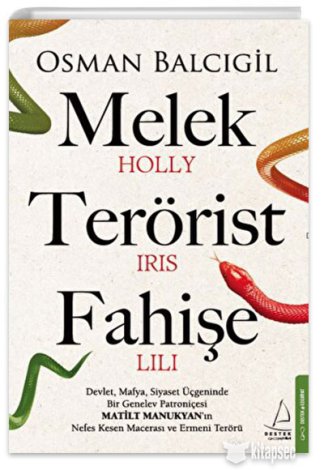 Melek Terörist Fahişe kitap kapağı
