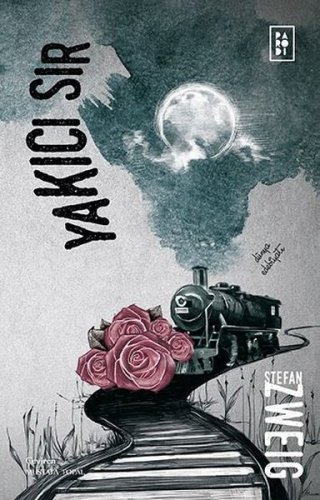 Yakıcı Sır kitap kapağı