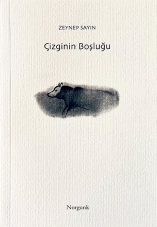 Çizginin Boşluğu kitap kapağı