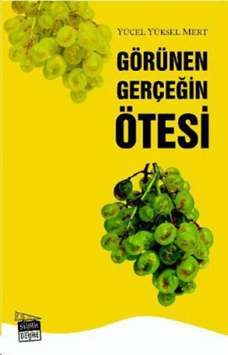 Görünen Gerçeğin Ötesi
