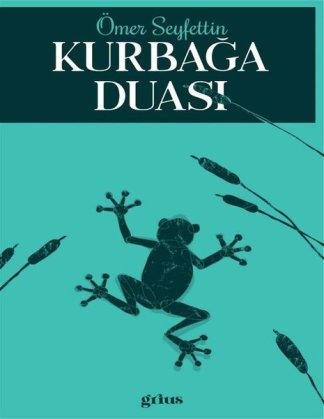 Kurbağa Duası kitap kapağı
