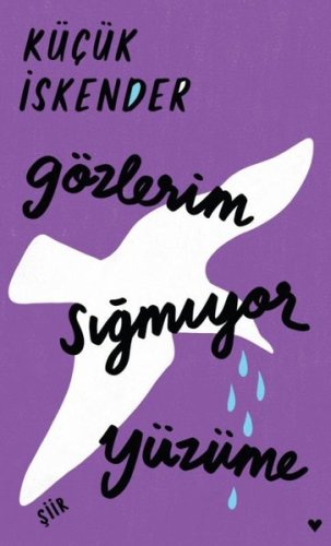 Gözlerim Sığmıyor Yüzüme-Ciltli kitap kapağı