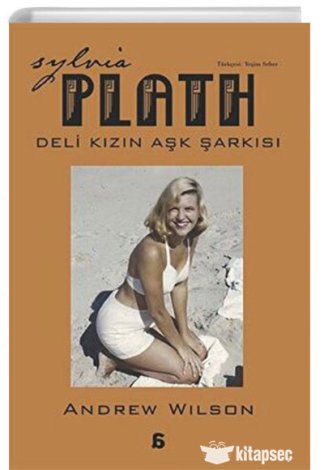 Sylvia Plath Deli Kızın Aşk Şarkısı