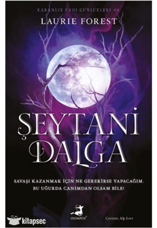 Şeytani Dalga - Karanlık Cadı Günlükleri 4 kitap kapağı