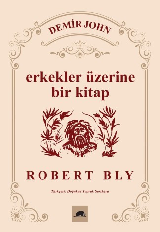 Demir John Erkekler Üzerine Bir Kitap kitap kapağı