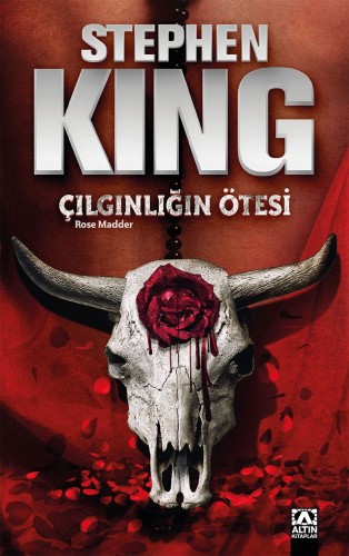 Çılgınlığın Ötesi kitap kapağı