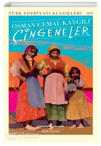 Çingeneler kitap kapağı