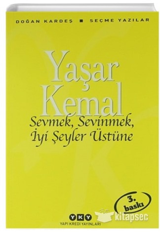 Sevmek Sevinmek İyi Şeyler Üstüne kitap kapağı