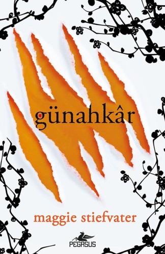 Günahkar kitap kapağı